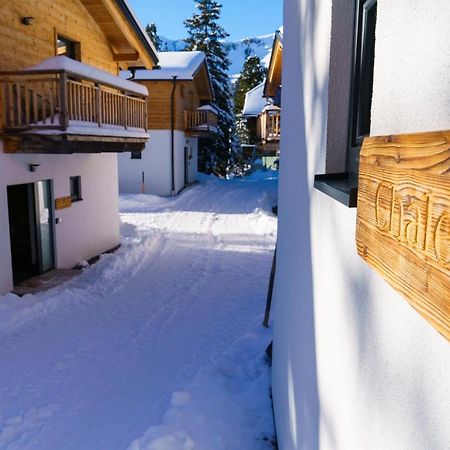 Luxalps- Turrach Alm Chalets Nr 1-4 Gruensee- Sauna- Skifahren- Wandern- Natur Turracher Hoehe Exterior photo