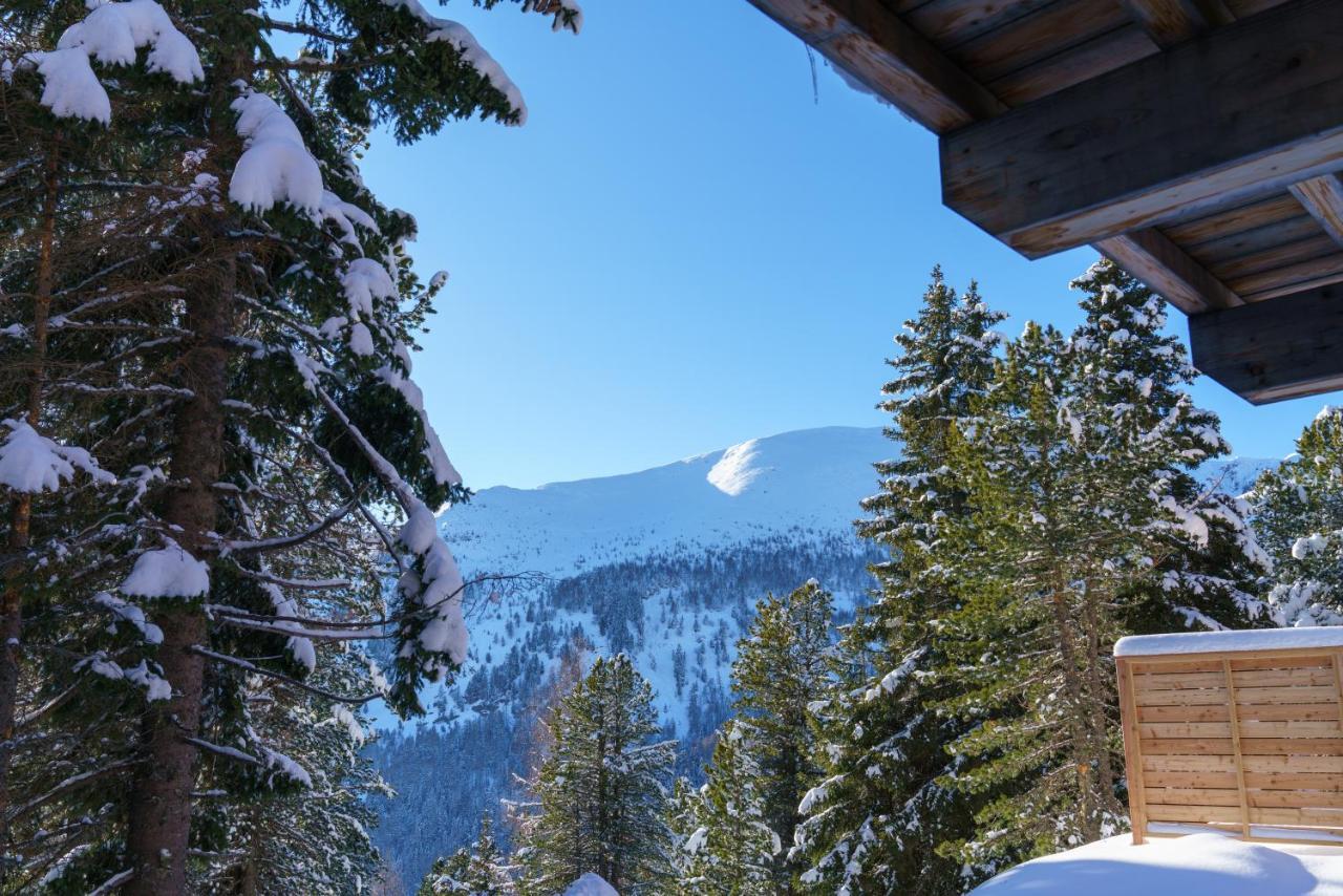 Luxalps- Turrach Alm Chalets Nr 1-4 Gruensee- Sauna- Skifahren- Wandern- Natur Turracher Hoehe Exterior photo